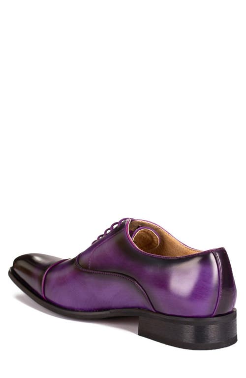 Gino Vitale Cap Toe Oxford In Purple