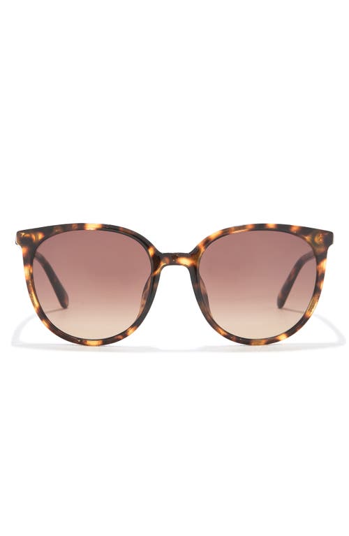 Shop Kate Spade New York Jolene 55mm Round Sunglasses In Havana/brown Sf