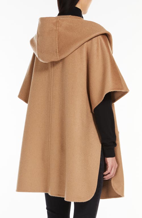 Shop Max Mara Dorico Belted Double Face Cashmere Cape In Camel