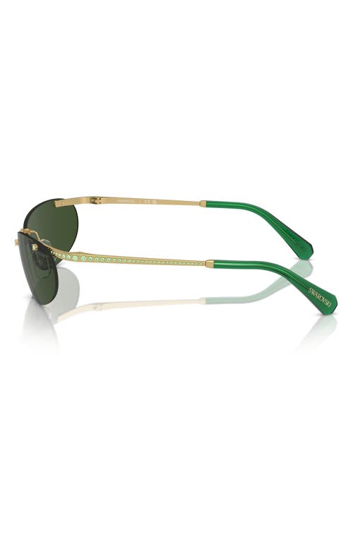 Shop Swarovski 59mm Oval Sunglasses In Matte Gold