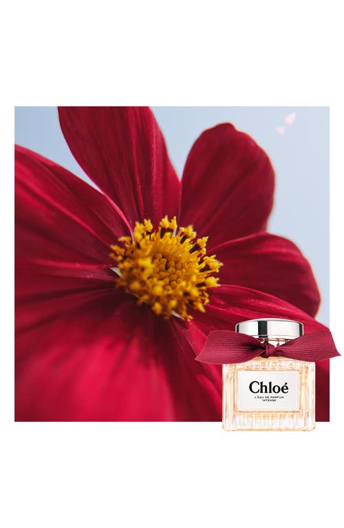 Shop Chloé L'eau De Parfum Intense 2-piece Gift Set $172 Value In No Color