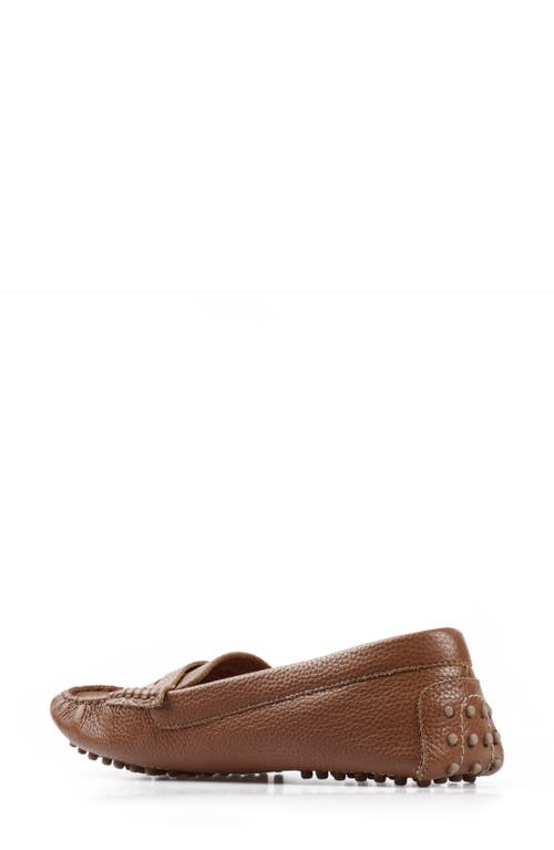 National Comfort Talulah Penny Loafer In Tan Leather