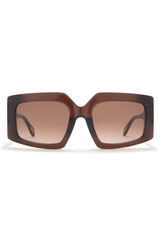 Just Cavalli 54mm Square Sunglasses In Brown