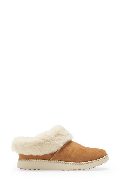 Shop Olukai Genuine Shearling Slipper In Tan/bone