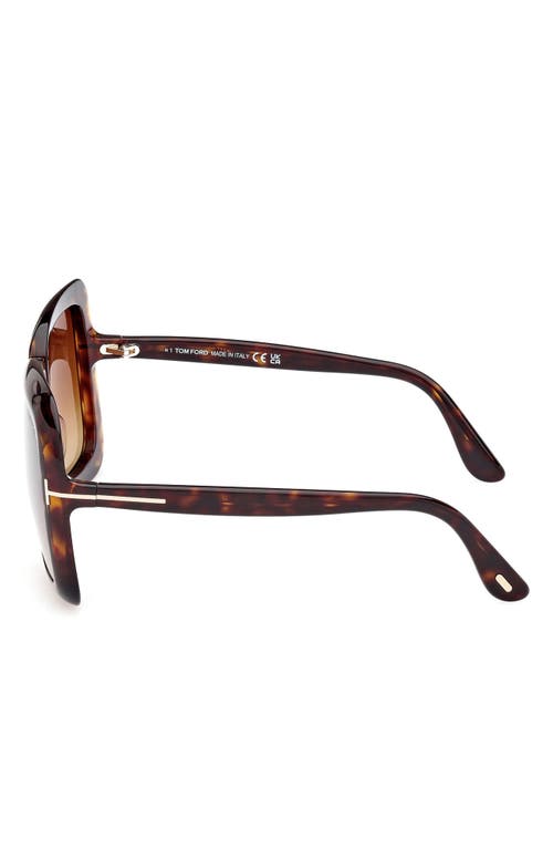 Shop Tom Ford Lorelai 59mm Square Sunglasses In Shiny Dark Havana/brown