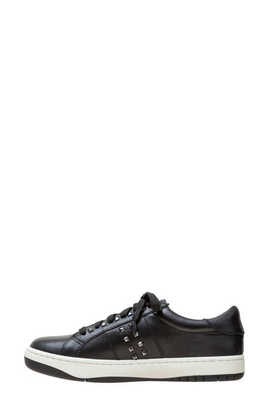 Linea Paolo Kerry Sneaker In Black
