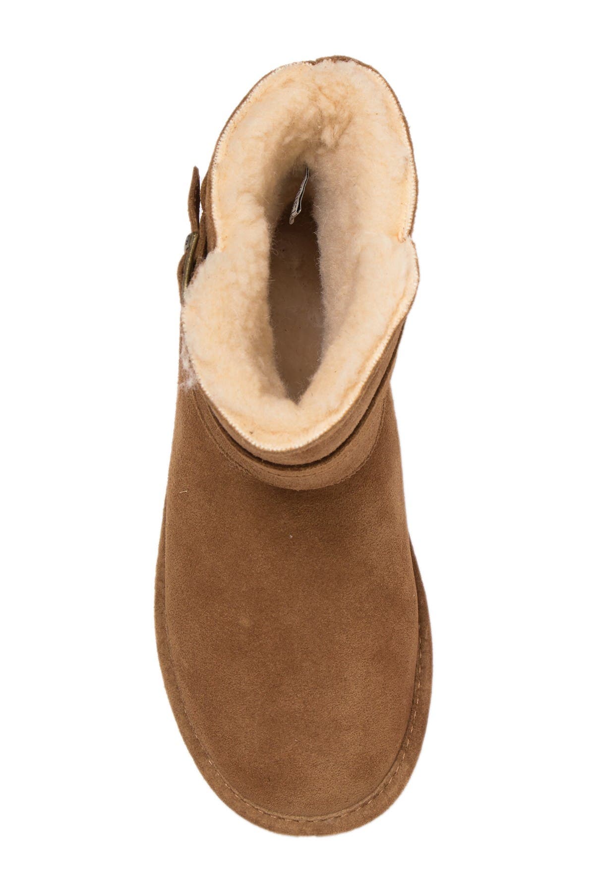 bearpaw catherine