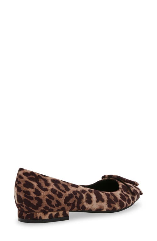 Shop Anne Klein Kalea Pointy Toe Flat In Leopard