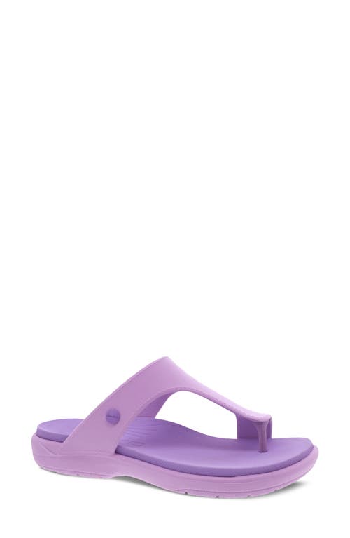 Dansko Krystal Toe Loop Sandal in Purple Molded