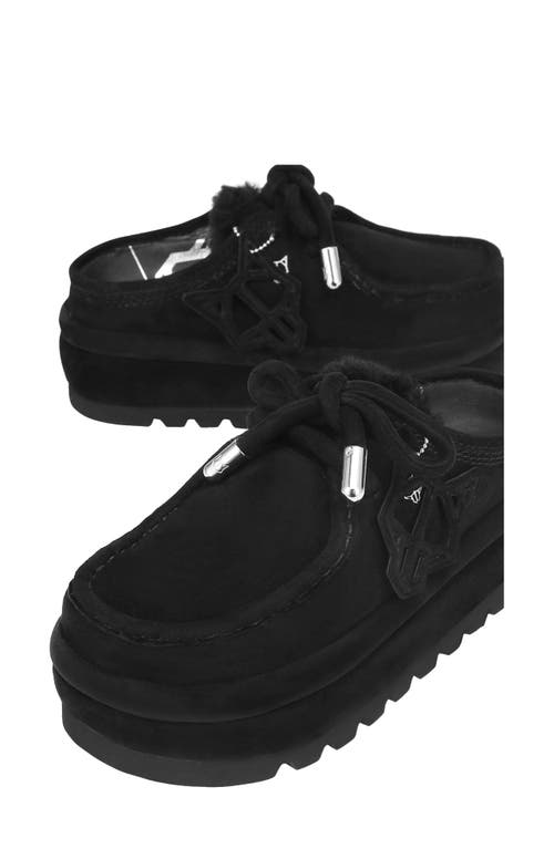 Naked Wolfe Blizzard Black Suede/shearling In Black-suede/shearling