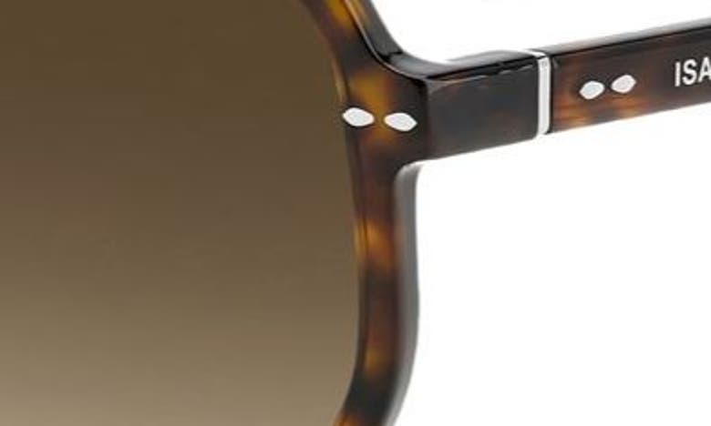 Shop Isabel Marant 52mm Round Sunglasses In Havana Brown/ Gradient