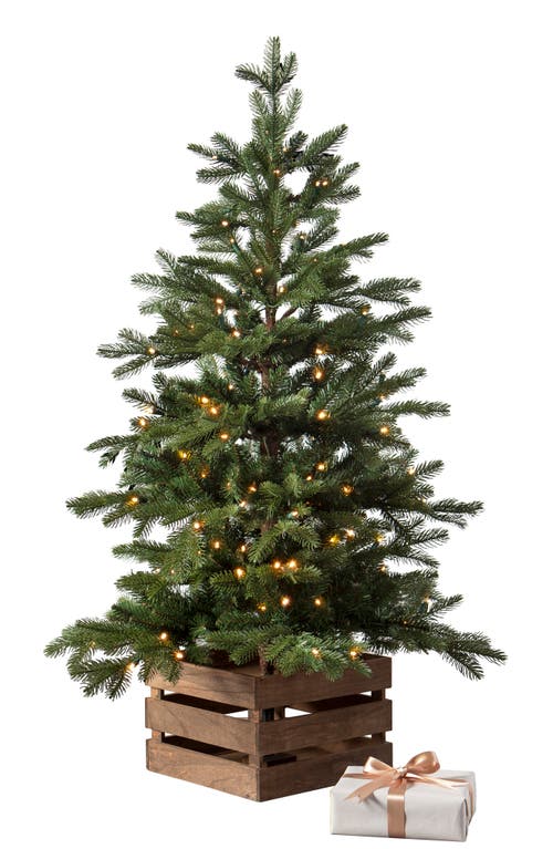 Balsam Hill Country Farm Fir Pre-Lit Artificial Tree in Led Clear