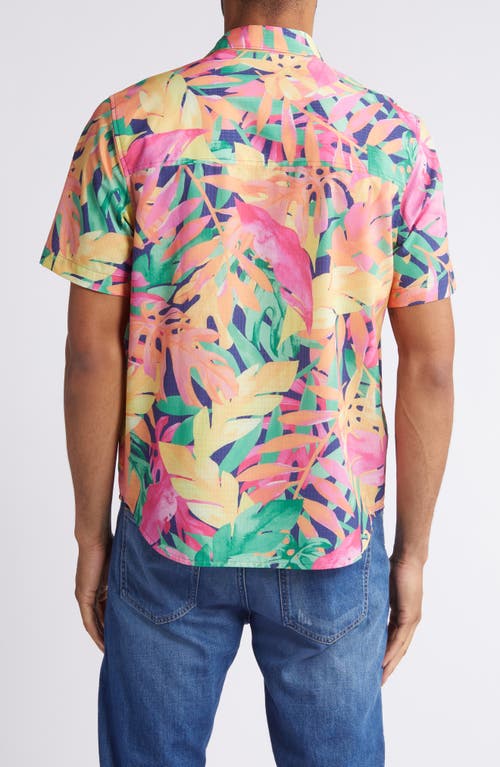 Shop Tommy Bahama Bahama Coast Feeling Rowdy Botanic Print Short Sleeve Stretch Button-up Shirt In Ray