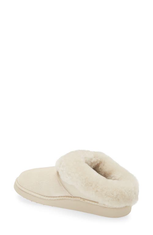 Shop Olukai Genuine Shearling Slipper In Puka/puka