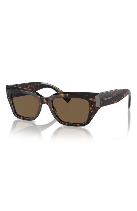 Shop Dolce & Gabbana Dolce&gabbana 52mm Cat Eye Sunglasses In Havana