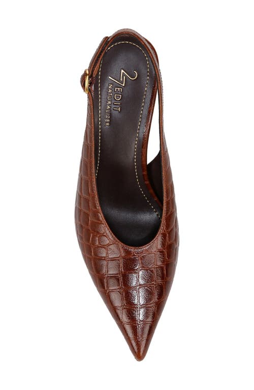 Shop 27 Edit Naturalizer Elaine Slingback Pointed Toe Pump In Dark English Tea Brown