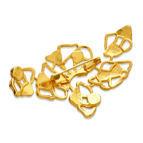 Dhwani Bhansal Gaia Brooch In Gold Plated