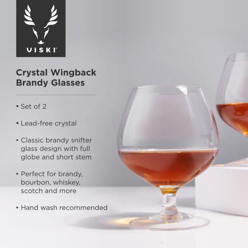 Viski Raye Crystal Wingback Brandy Glasses Set Of 2 In Clear