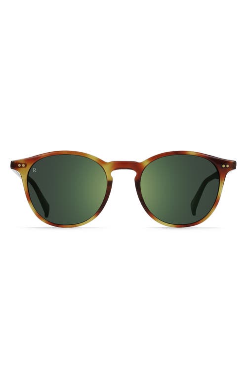 Basq 50mm Round Sunglasses in Moab Tortoise/Green