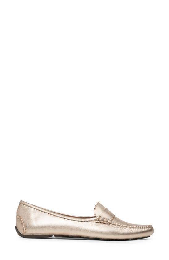 Shop Patricia Green Janet Scalloped Driving Loafer In Gold