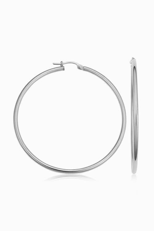 ORADINA ORADINA 14K WHITE GOLD EVERYTHING LARGE HOOP EARRINGS