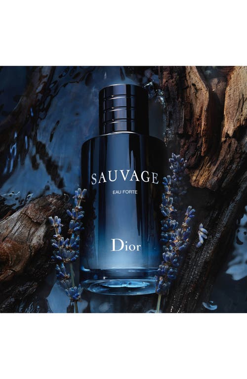 Shop Dior Sauvage Eau Forte Parfum