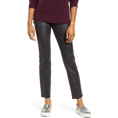 Hue Microsuede Leggings, Black