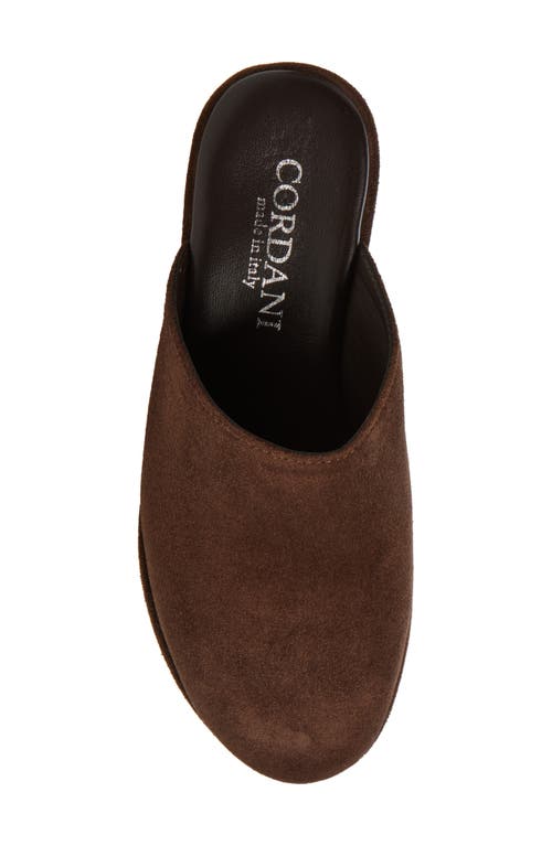 Cordani Camryn Platform Wedge Mule In T Moro Suede