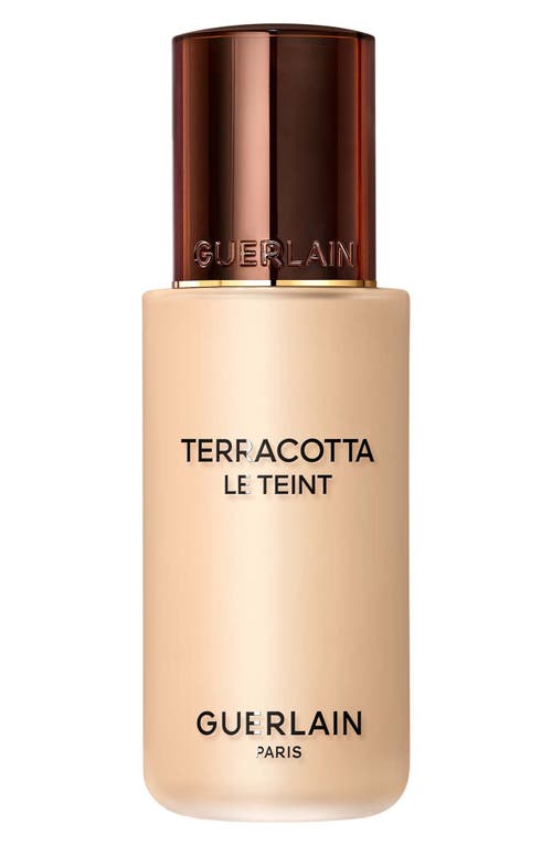 Terracotta Le Teint Healthy Glow Foundation in 1W Warm
