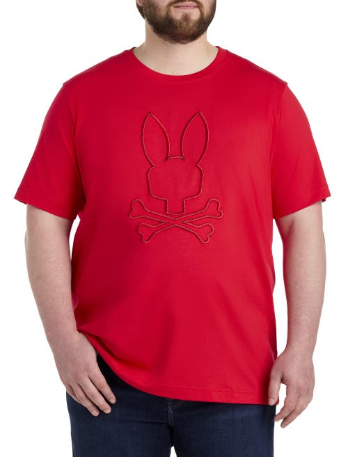 Shop Psycho Bunny Panama Graphic Tee In Lollipop