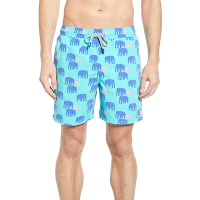 Tom & Teddy Elephant Print Swim Trunks, Green