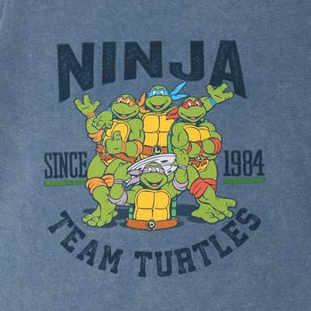 Teenage Mutant Ninja Turtles Vintage Collegiate Team Turtles T-shirt