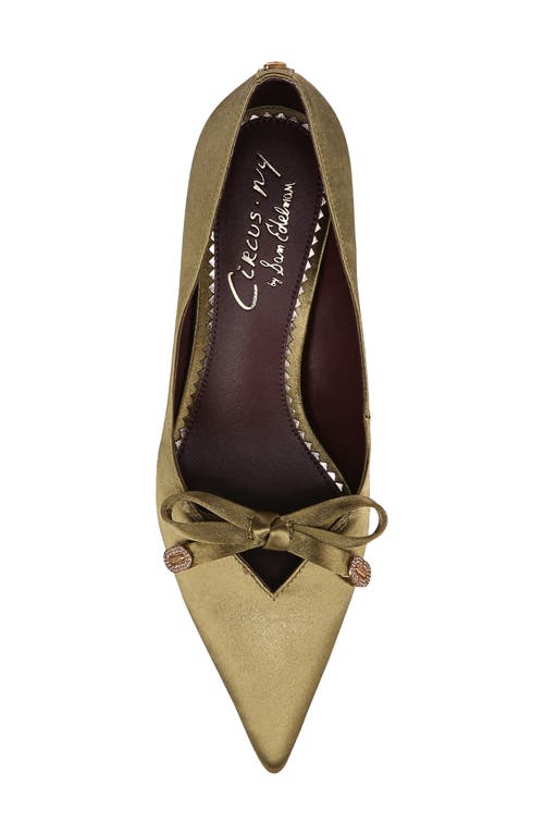 Shop Circus Ny By Sam Edelman Fleur Pointed Toe Pump In Dark Cactus