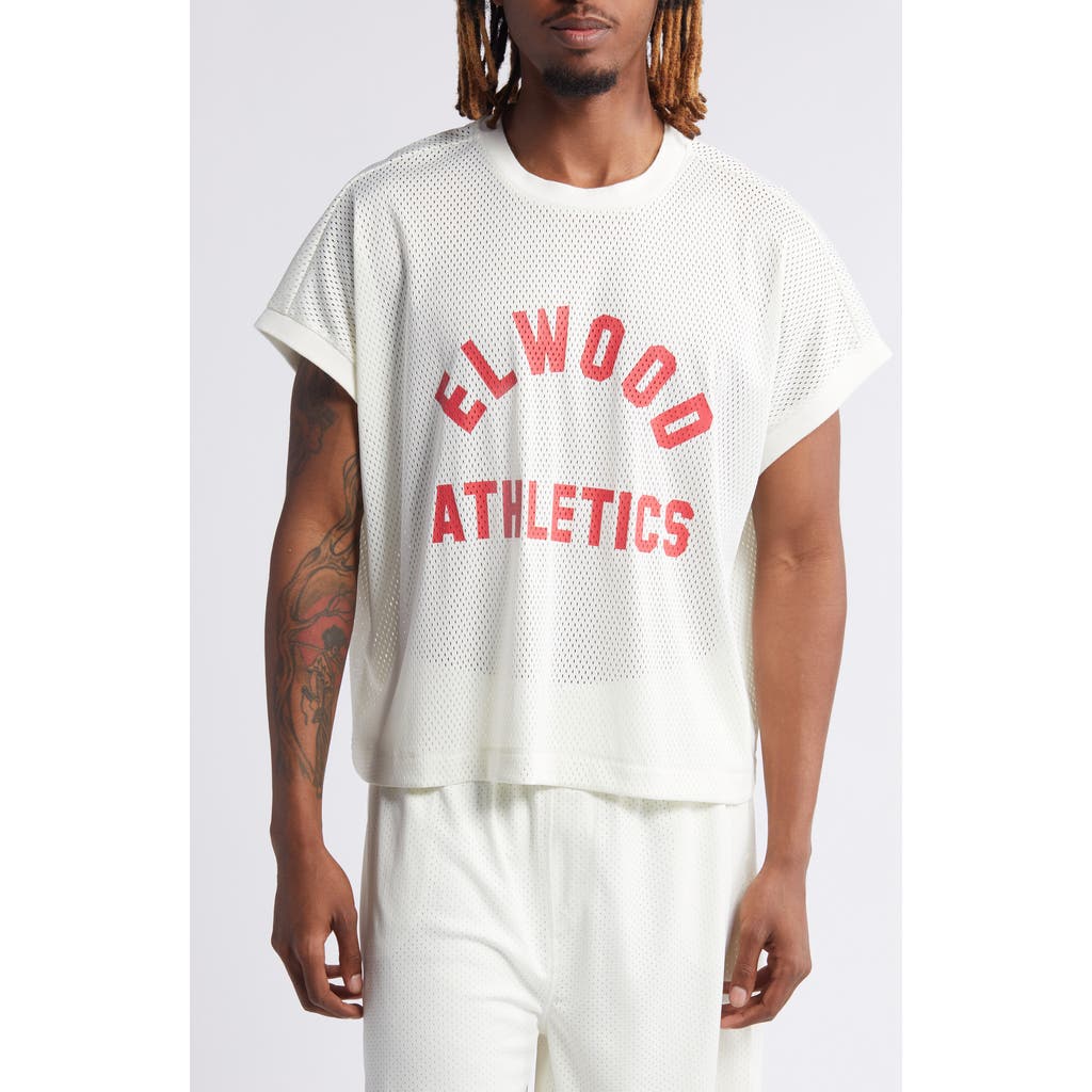 Elwood Logo Mesh Graphic T-shirt In Lotus