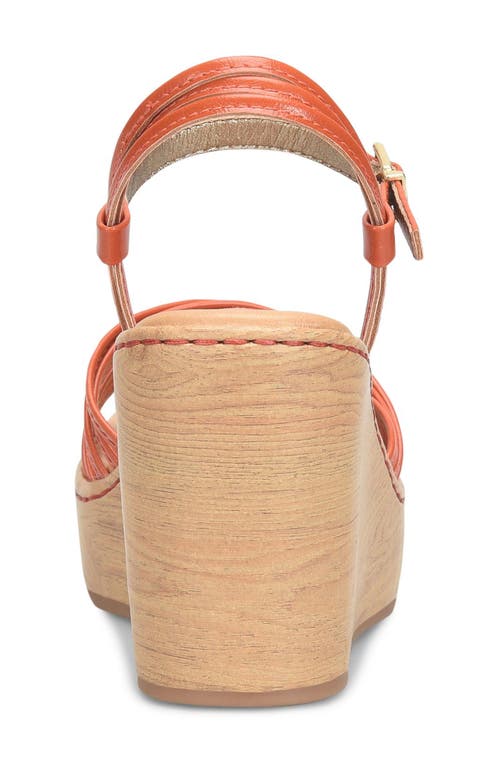 Shop B O C By Børn Catalina Platform Wedge Sandal In Orange