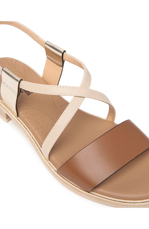 Nerogiardini Ankle Strap Sandal In Brown