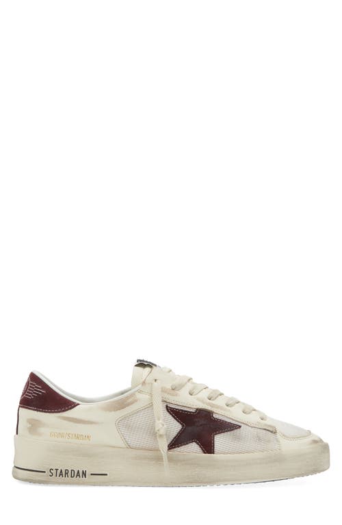 Shop Golden Goose Stardan Sneaker In White/white Ecru/wine