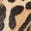 selected Leopard Print Calf Hair color