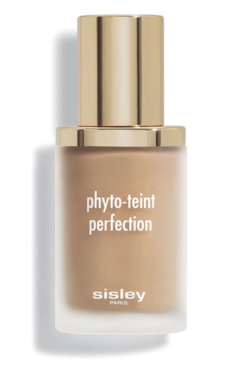 Sisley Paris Phyto-Teint Perfection Foundation in 5N Pecan at Nordstrom, Size 1 Oz