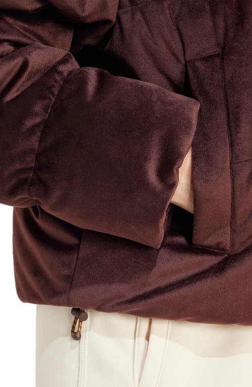 Shop Adidas Originals Regen Velour Down Puffer Jacket In Shadow Brown