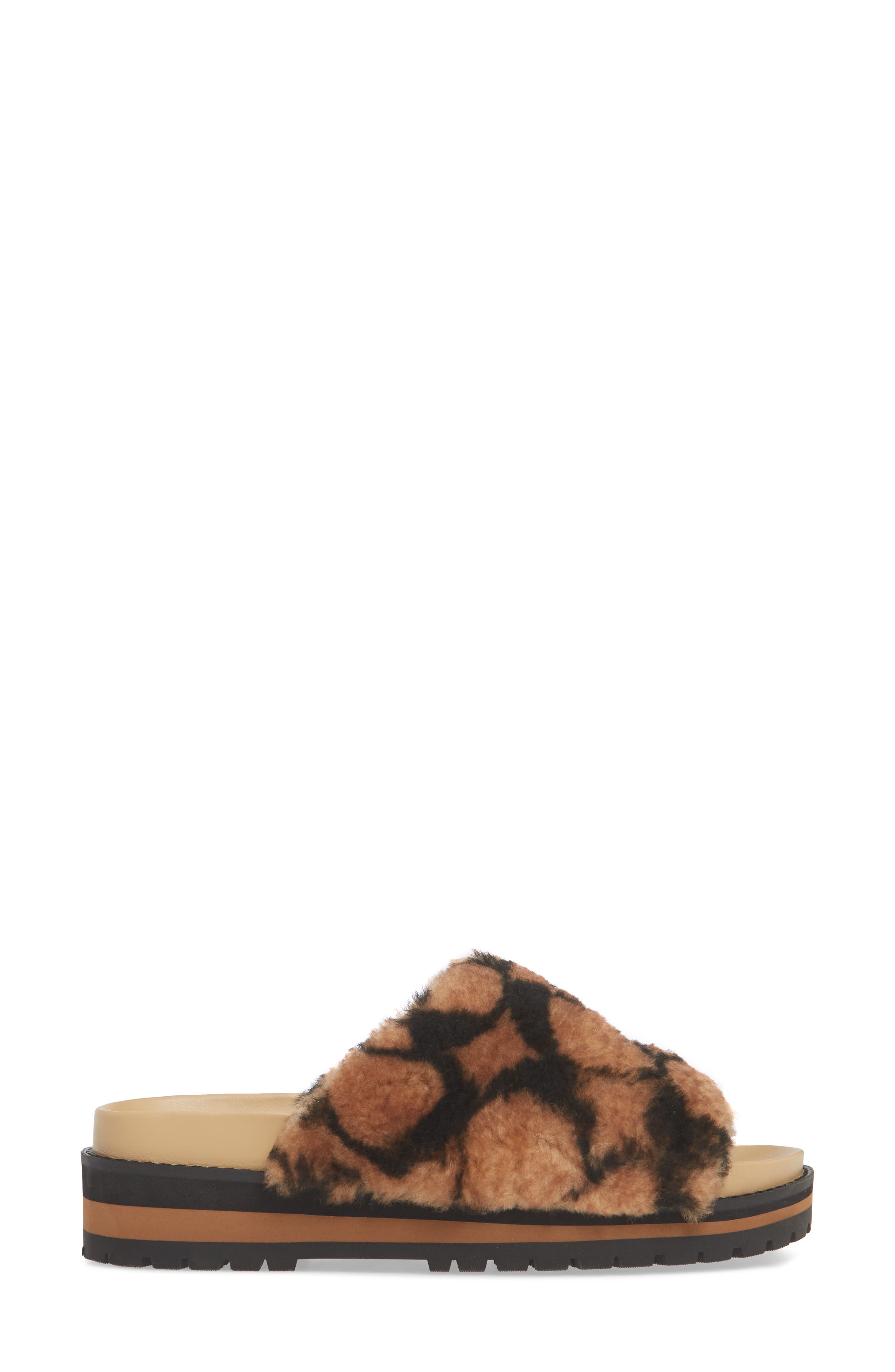kloe slide coach