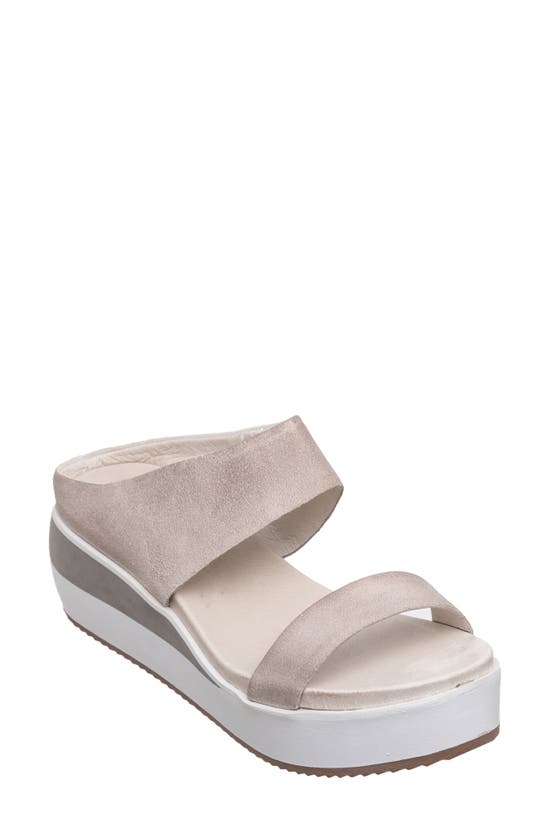 Shop Antelope Faina Wedge Sandal In Light Grey Suede