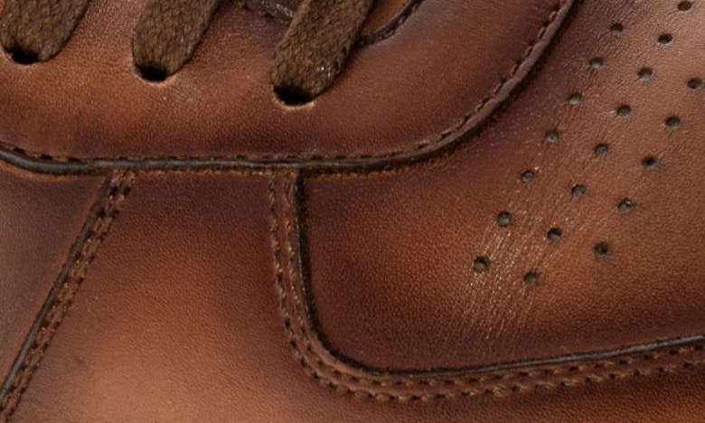 Shop To Boot New York Barbera Sneaker In Cognac