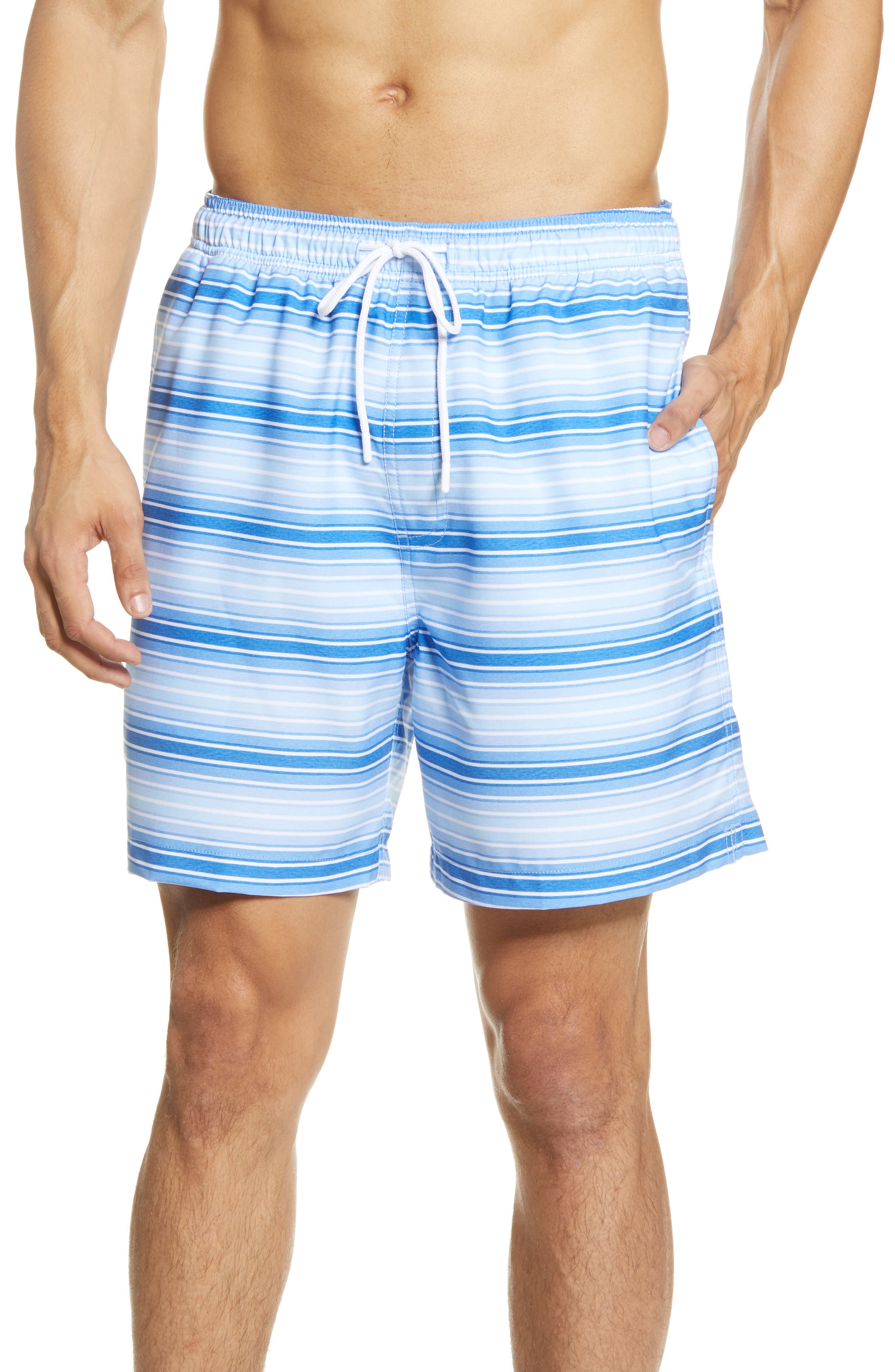 southern tide swim trunks