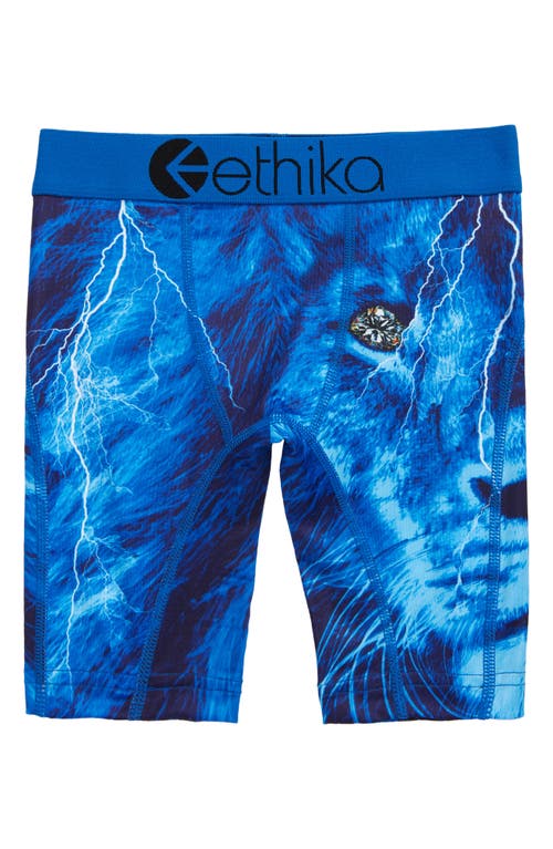 Ethika Kids' Tru Lion Boxer Briefs in Black/blue