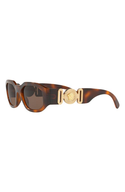 Shop Versace Biggie 53mm Round Sunglasses In Havana/brown Solid