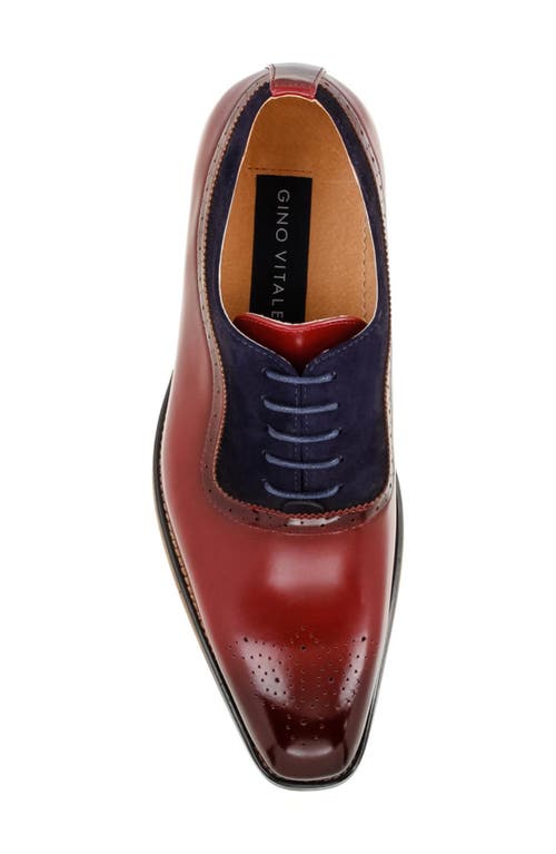 Gino Vitale Wingtip Oxford In Burgundy/navy