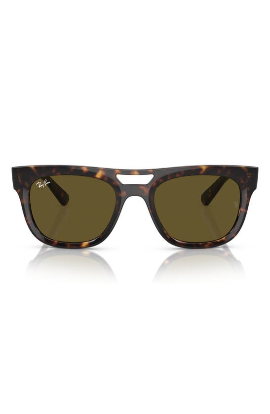 Shop Ray Ban Phil 54mm Square Sunglasses In Havana