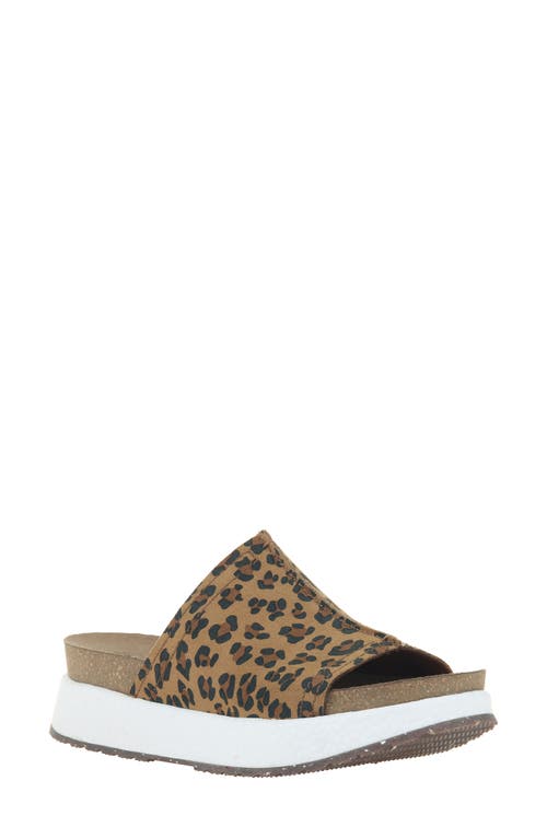 Wayside Slide Sandal in Leopard Print Suede