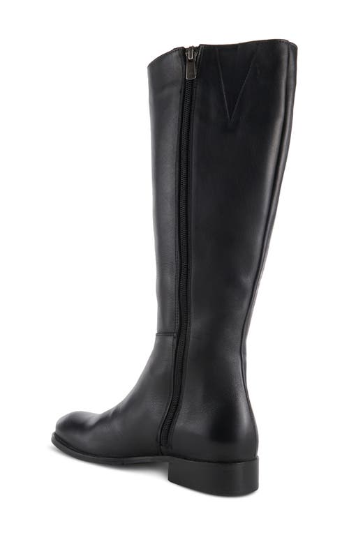 Shop Spring Step Hightail Knee High Boot In Black